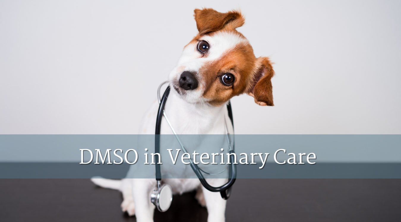 DMSO in Veterinary Care