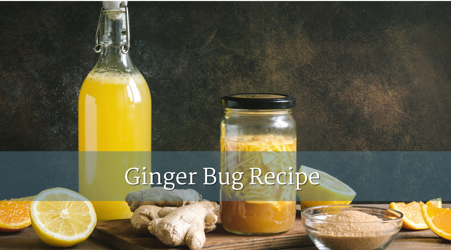 Ginger Bug Recipe