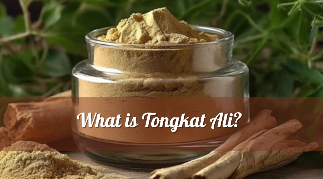 What is Tongkat Ali?