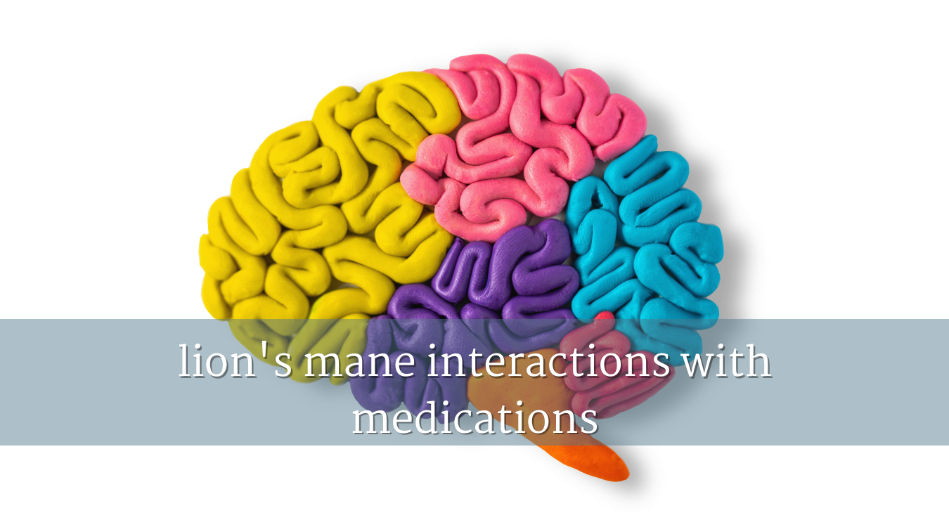 lion's mane interactions with medications