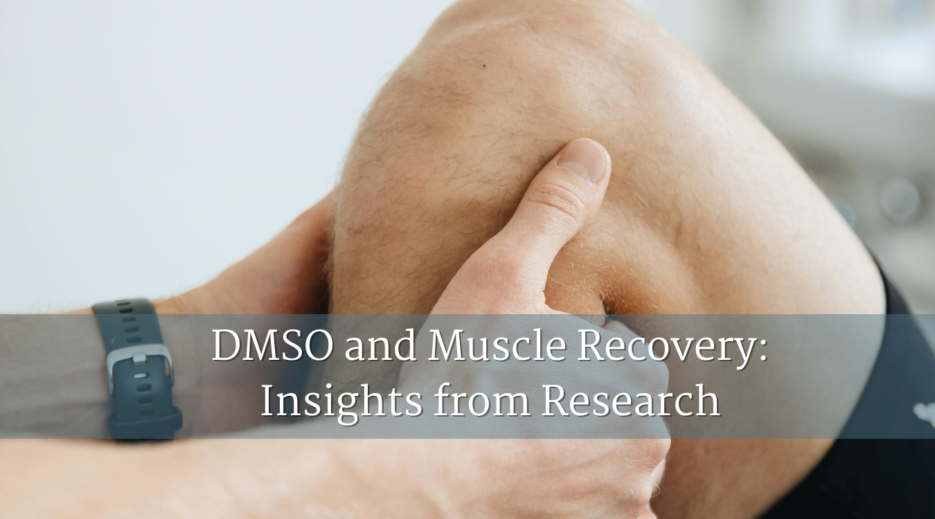 DMSO and Muscle Recovery